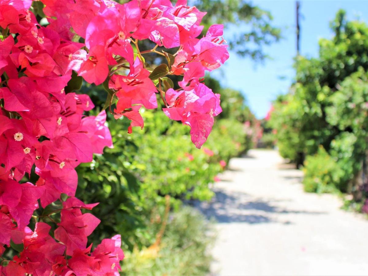 The Avance Hotel Ishigakijima - Vacation Stay 85735V Ishigaki  ภายนอก รูปภาพ