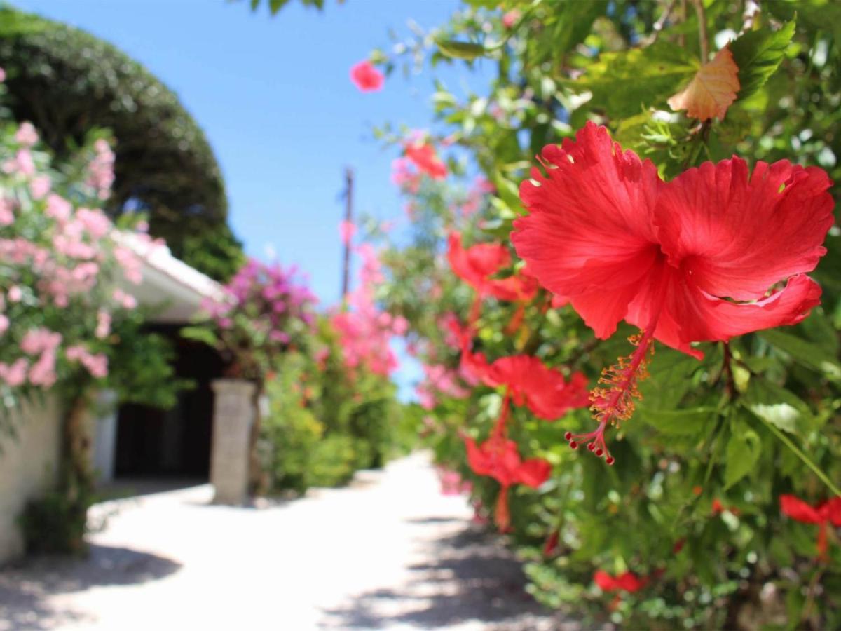 The Avance Hotel Ishigakijima - Vacation Stay 85735V Ishigaki  ภายนอก รูปภาพ